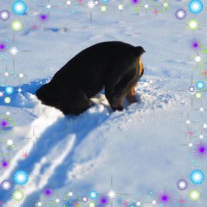 Meet your Posher, Val